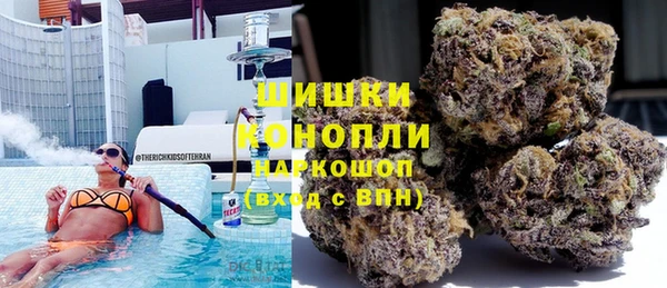 ECSTASY Вяземский