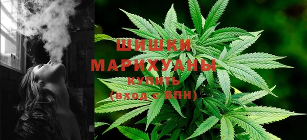 ECSTASY Вяземский