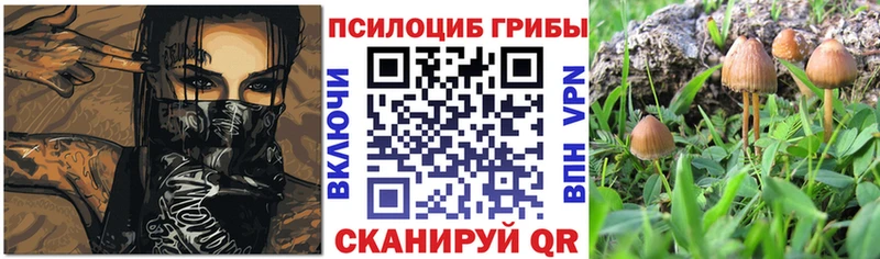 Галлюциногенные грибы прущие грибы  Евпатория 
